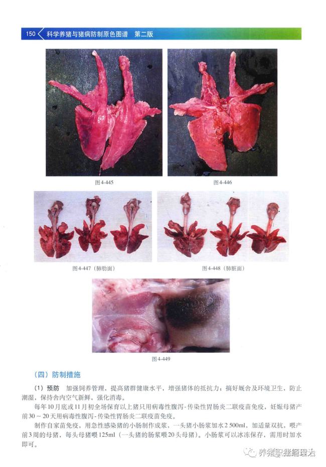 猪流行性腹泻的诊断与防治