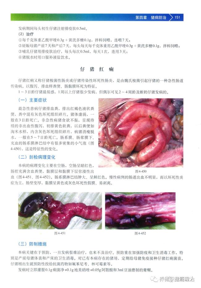 猪流行性腹泻的诊断与防治