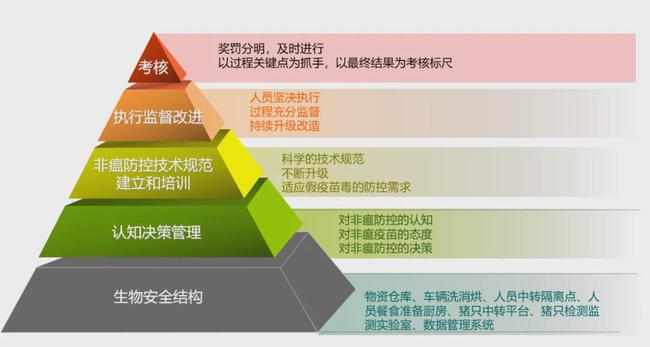 在非瘟防控上，集团公司与小规模场究竟谁更具优势？