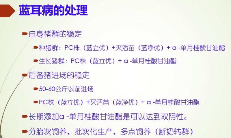 索绪峰：蓝耳病的防控需要疫苗免疫和其他方法配合