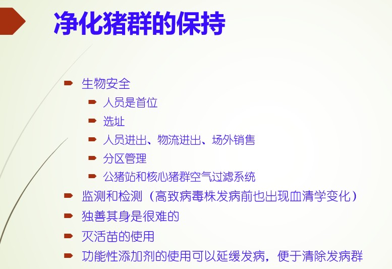 索绪峰：蓝耳病的防控需要疫苗免疫和其他方法配合