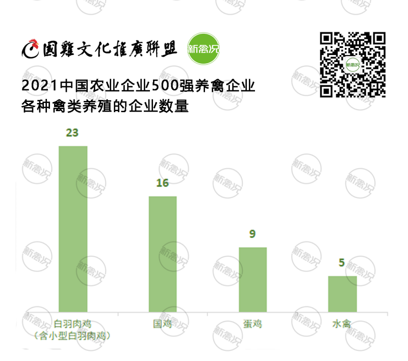 2021年中国农业企业500强榜单公示！52家养禽企业上榜