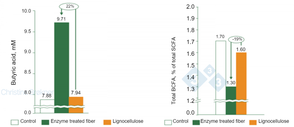 <strong>Figure 1.</strong> Control = no fiber, Enzyme treated fiber = soluble NSP, Lignocellulose = insoluble NSP. <strong>(A)</strong> Butyric acid production increases by 22% in piglet (15 kg) when fermenting soluble fibers. <strong>(B)</strong> Protein fermentation reduced by 19% in piglet (15 kg) when fermenting soluble fibers. SCFA = short chain fatty acids, BCFA = branched chain fatty acids.