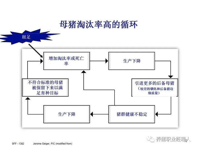 降本增效||胎龄结构对猪群盈利能力的影响