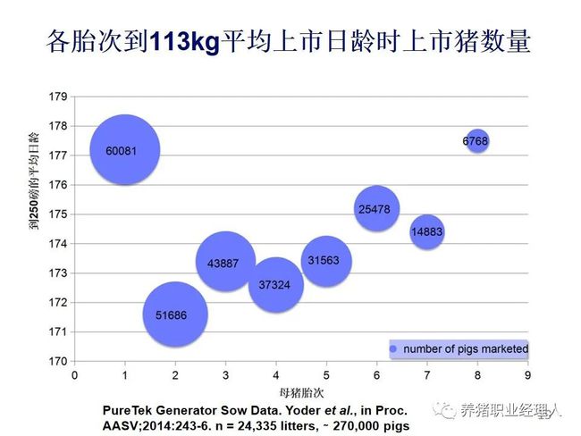 降本增效||胎龄结构对猪群盈利能力的影响