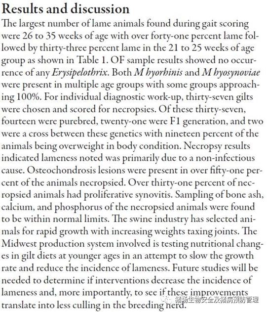 不同周龄组后备母猪跛行发生率及原因调查