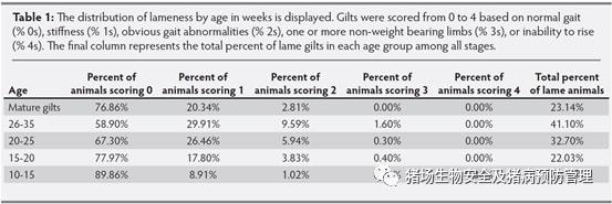 不同周龄组后备母猪跛行发生率及原因调查