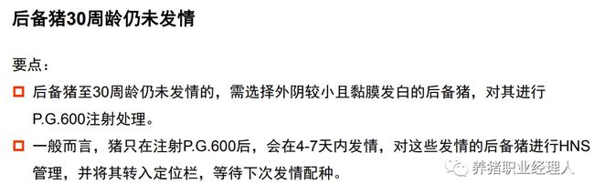 集团公司的后备母猪是如何管理的？