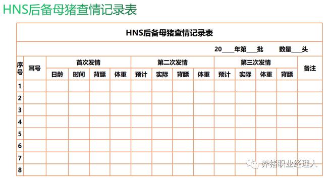 集团公司的后备母猪是如何管理的？