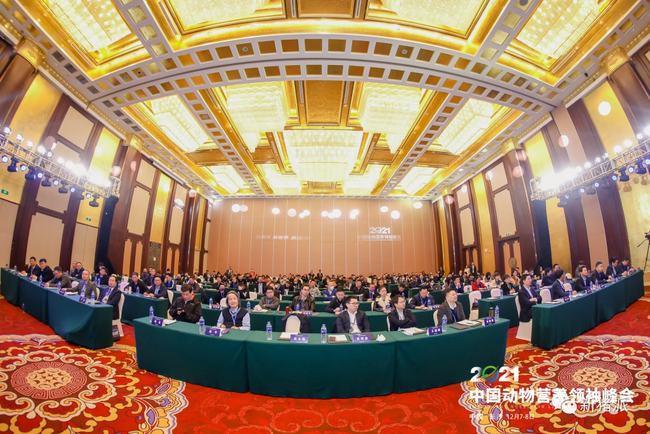 星光闪耀！200多位饲料大咖齐聚2021中国动物营养领袖峰会