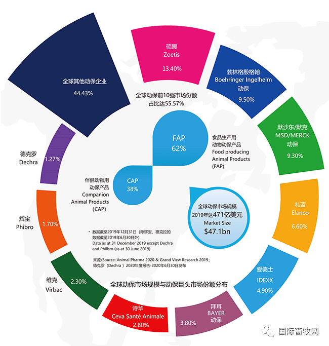 2020年全球动保企业三十强榜单